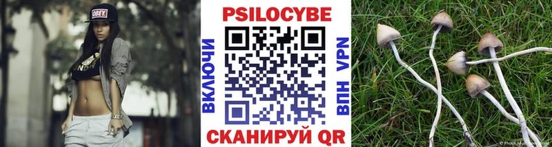 Псилоцибиновые грибы Magic Shrooms  Купить где  Нерехта 