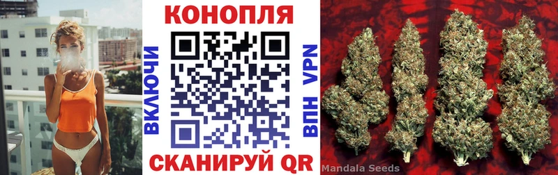 Шишки марихуана SATIVA & INDICA  Купить закладки  Нерехта 